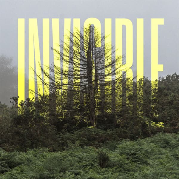 The Invisible EP artwork